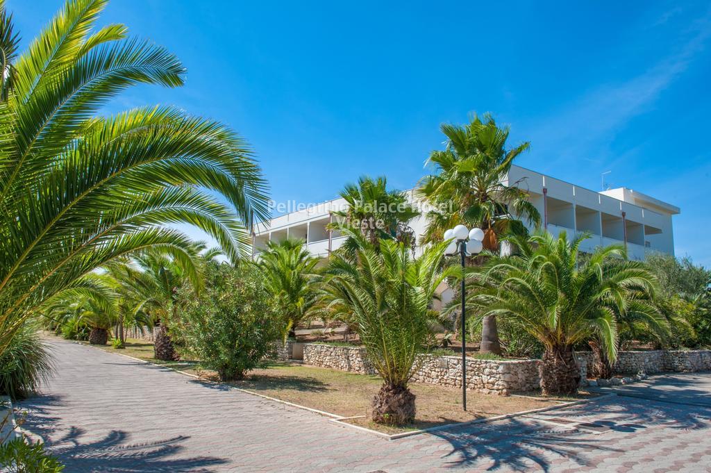 Pellegrino Palace Hotel Vieste Exterior foto